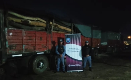 Castelli: secuestran casi 25 toneladas de postes por infracción a la Ley de Bosques