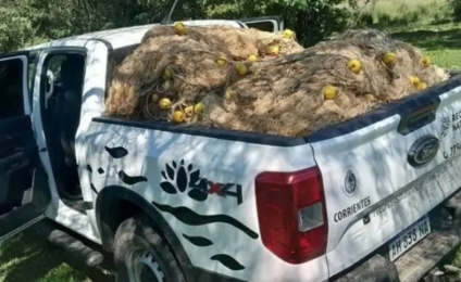 En plena veda, secuestraron cerca de 3 mil metros de mallones y especies capturadas en el Paraná