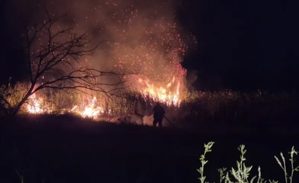 Un incendio afectó dos hectáreas y la Policía identificó al presunto responsable